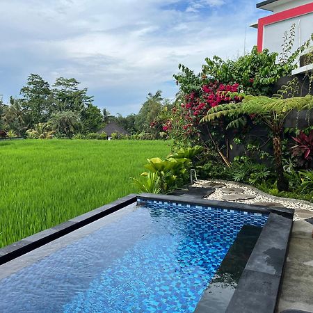 Maple Ridge Ubud Villas Kültér fotó
