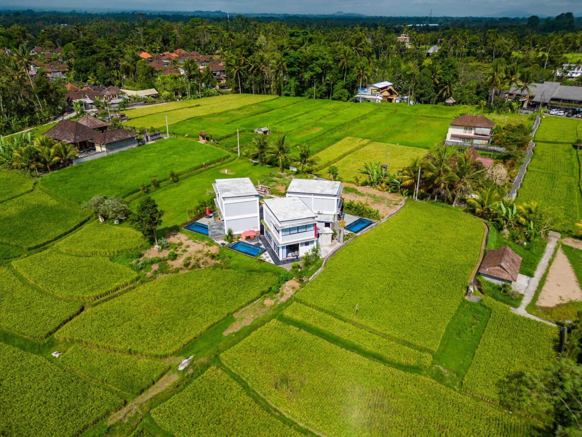 Maple Ridge Ubud Villas Kültér fotó