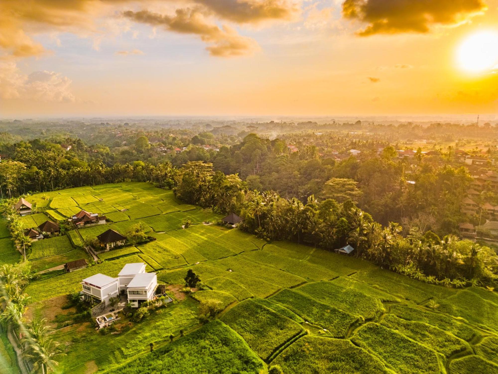 Maple Ridge Ubud Villas Kültér fotó