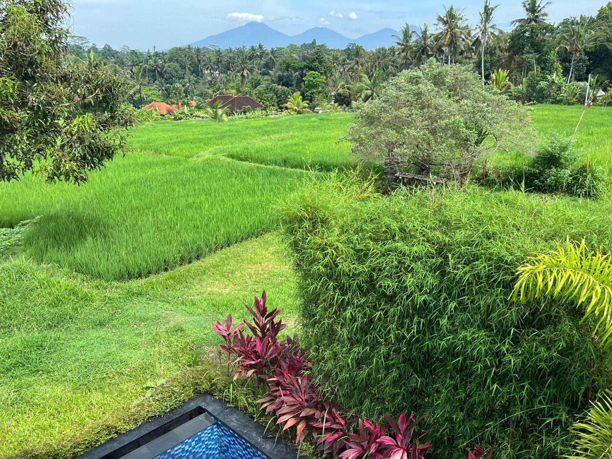 Maple Ridge Ubud Villas Kültér fotó