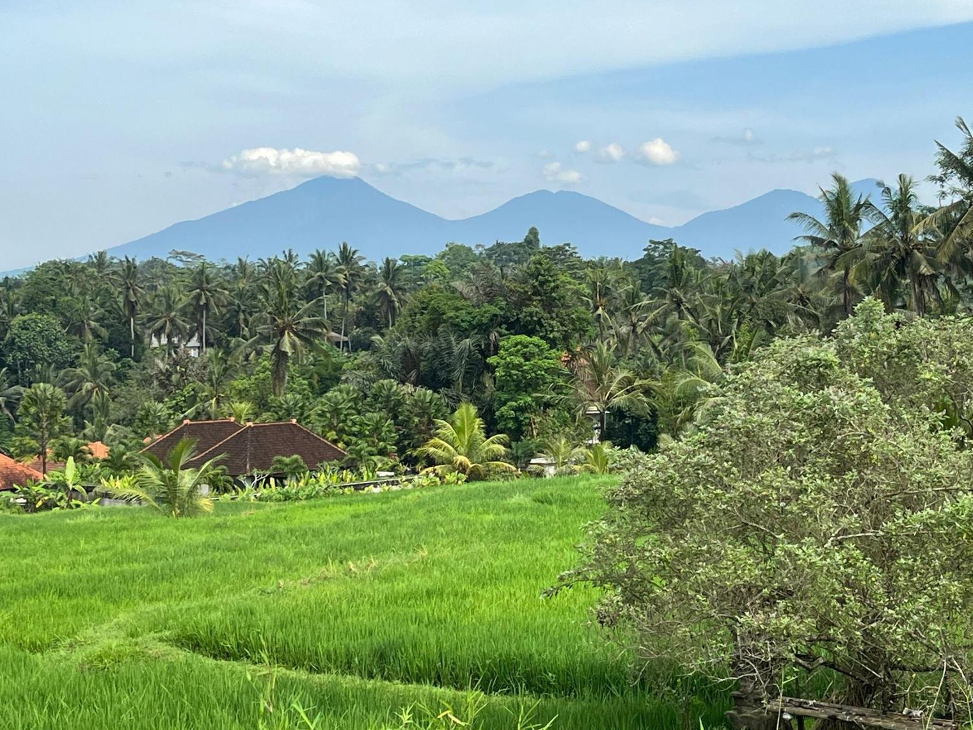 Maple Ridge Ubud Villas Kültér fotó